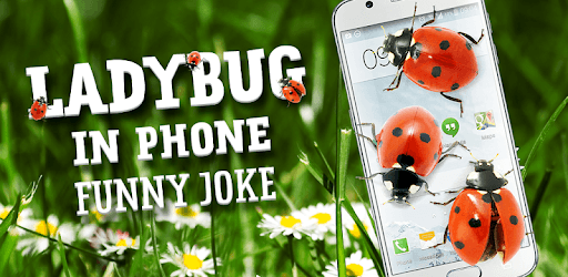 Ladybug in Phone Funny joke pc screenshot