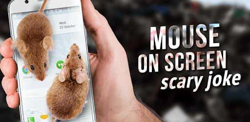 Mouse on Screen Scary Joke pc screenshot Mouse on Screen Scary Joke pc screenshot