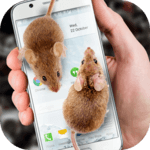 Mouse on Screen Scary Joke icon