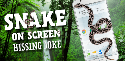 Snake On Screen Hissing Joke pc screenshot Snake On Screen Hissing Joke pc screenshot