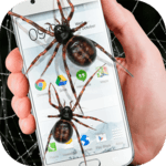 Spider in phone funny joke for pc icon