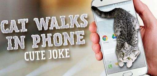 Cat Walks in Phone Cute Joke pc screenshot