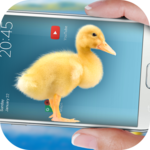 Duck in phone Quacking joke icon