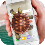 Turtle Walks in Phone joke icon