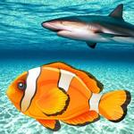 Real Fish Simulator for pc icon