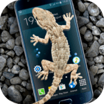 Gecko in Phone scary joke icon