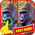Find Difference Monkey Games icon