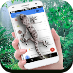 Lizard Screen On Phone icon