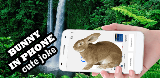 Rabbit in Phone Cute Joke pc screenshot Rabbit in Phone Cute Joke pc screenshot
