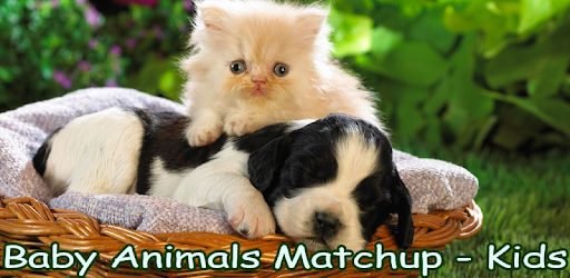 Baby Animals Matchup - Kids pc screenshot