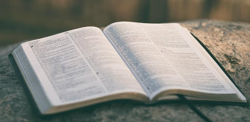 Alkitab: Indonesian - English Bible pc screenshot Alkitab: Indonesian - English Bible pc screenshot