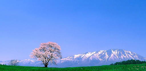 MinaNo Nihongo 50 Lessons pc screenshot MinaNo Nihongo 50 Lessons pc screenshot