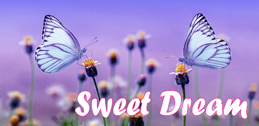 Good Night Images Love Photo pc screenshot Good Night Images Love Photo pc screenshot