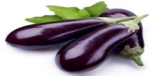 Kids Learning Vegetable Names pc screenshot