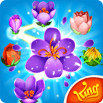 Blossom Blast Saga icon
