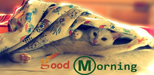 Good Morning Images Pro pc screenshot