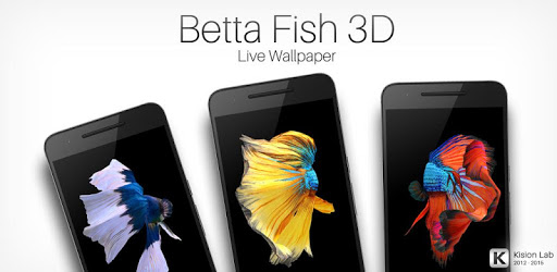 Betta Fish 3D Free pc screenshot Betta Fish 3D Free pc screenshot