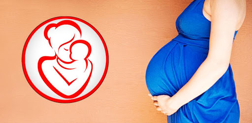 Pregnancy Day by Day pc screenshot Pregnancy Day by Day pc screenshot
