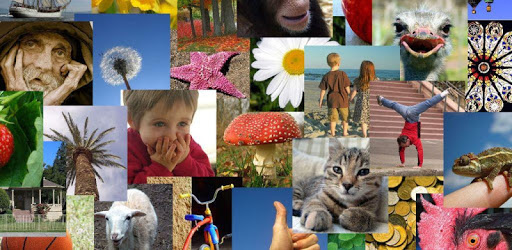 Picturenality-Personality Test pc screenshot