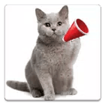Cat Sounds icon