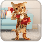 Cat Caller icon