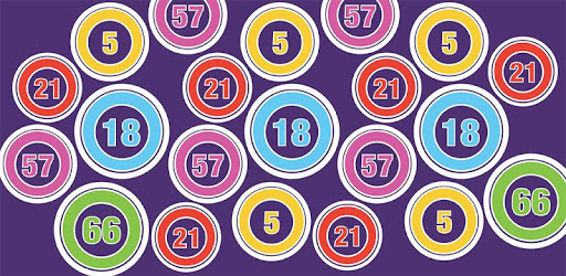 Bingo Numbers pc screenshot Bingo Numbers pc screenshot