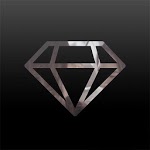 Koi Partner icon