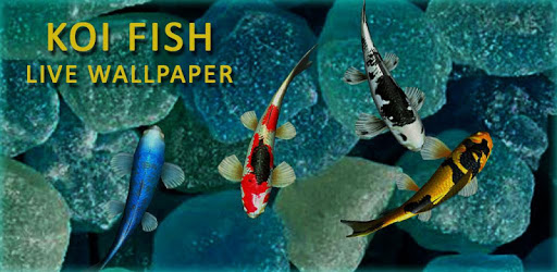 3D Koi Fish Wallpaper HD Fish Live Wallpapers Free pc screenshot 3D Koi Fish Wallpaper HD Fish Live Wallpapers Free pc screenshot