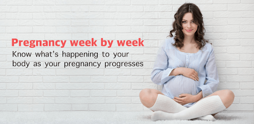 I'm Pregnant - Pregnancy Tracker pc screenshot I'm Pregnant - Pregnancy Tracker pc screenshot
