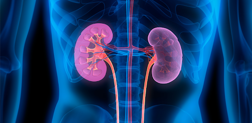Repair Your Kidneys Naturally pc screenshot