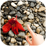 Pebbles Water Ripple Live Wallpaper icon