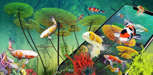 Fish Lock Screen For Computer 3D Parallax Koi Fish Lock Screen for PC - How to Install on Windows PC, Mac