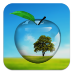 PiP camera. Picture in picture collage maker icon