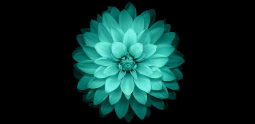 Galaxy Flowers Live Wallpaper pc screenshot