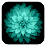 Galaxy Flowers Live Wallpaper icon