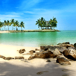 Beach Live Wallpapers icon