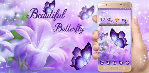 Shiny Colorful Butterfly Theme pc screenshot Shiny Colorful Butterfly Theme pc screenshot
