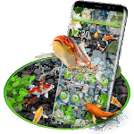 Super Lucky Koi Fish Theme icon