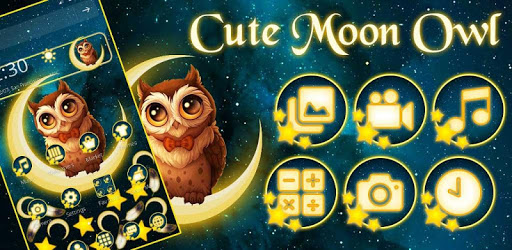 Cute Moon Owl Gravity Theme pc screenshot