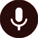 Dual voice Recorder icon