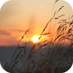 Sunrise Wallpapers icon