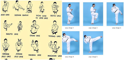 Learn Taekwondo Techniques pc screenshot