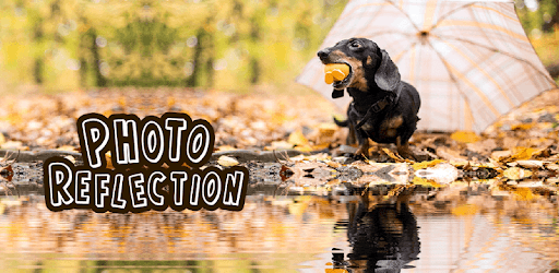Photo Reflection Effect Free 2 pc screenshot Photo Reflection Effect Free 2 pc screenshot