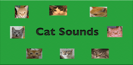 Cat Sounds pc screenshot Cat Sounds pc screenshot