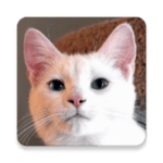 Cat Sounds icon