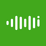 Linguali-IS icon