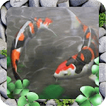 Free Waterpool Live Wallpaper icon