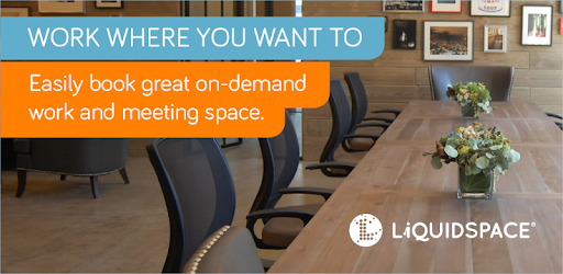 LiquidSpace pc screenshot