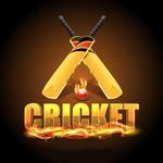 Fastest Cricket Live Line for pc icon