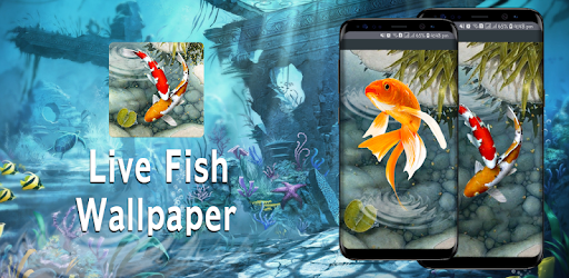 Live Fish Wallpapers - 3D Water Theme Wallpaper pc screenshot Live Fish Wallpapers - 3D Water Theme Wallpaper pc screenshot